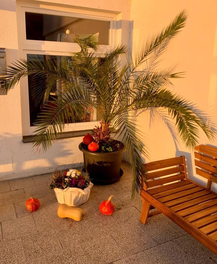 Penzion Kozi Horka U Brnenske Prehrady Brno Ngoại thất bức ảnh